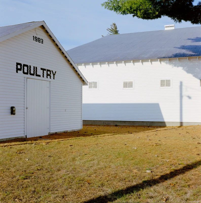 The Fryeburg Fair — photograph 1