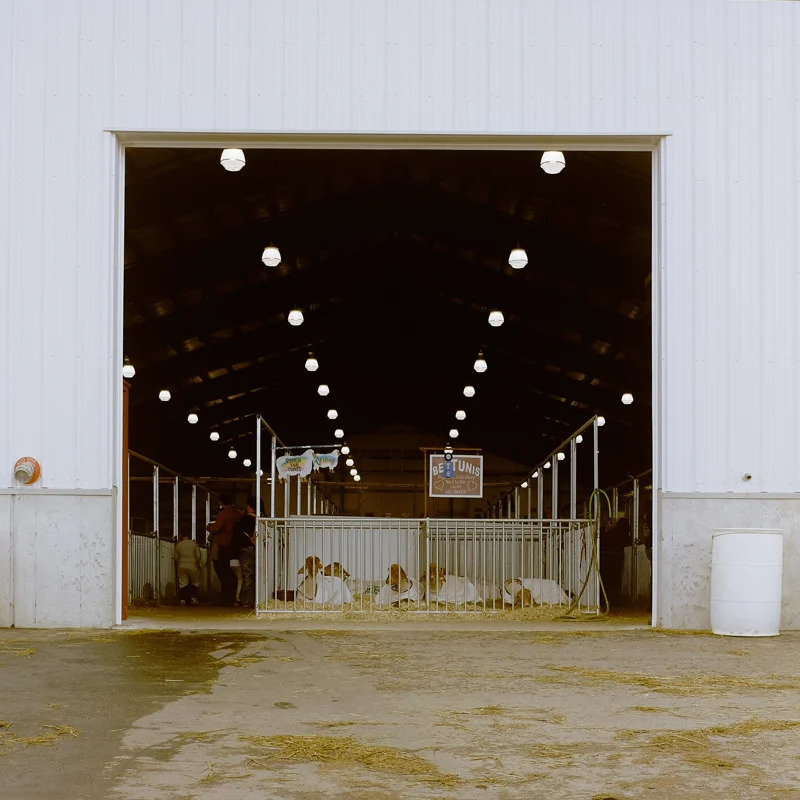 The Fryeburg Fair — photograph 8