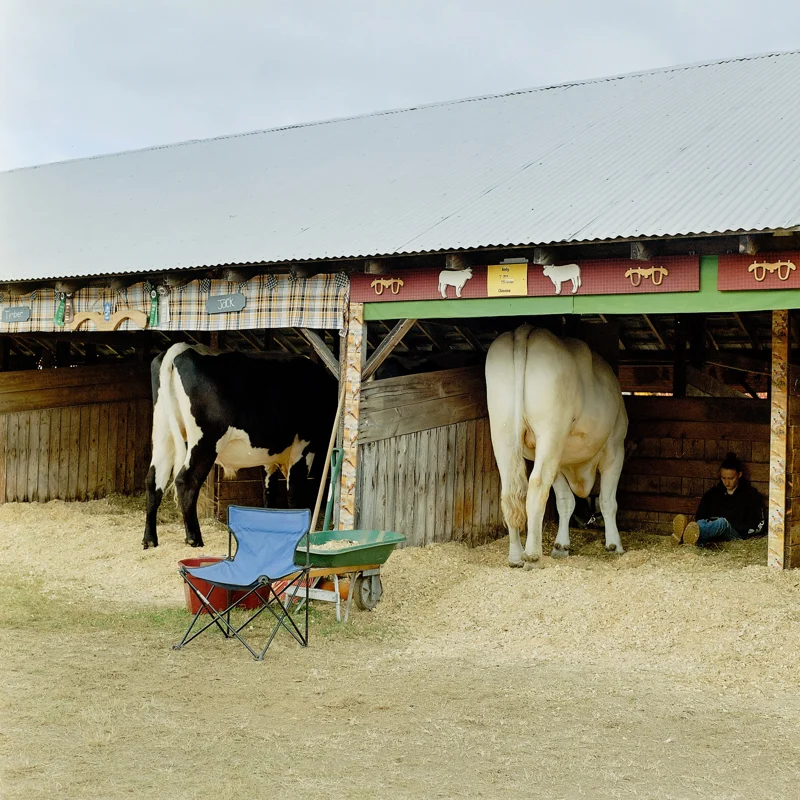The Fryeburg Fair — photograph 12