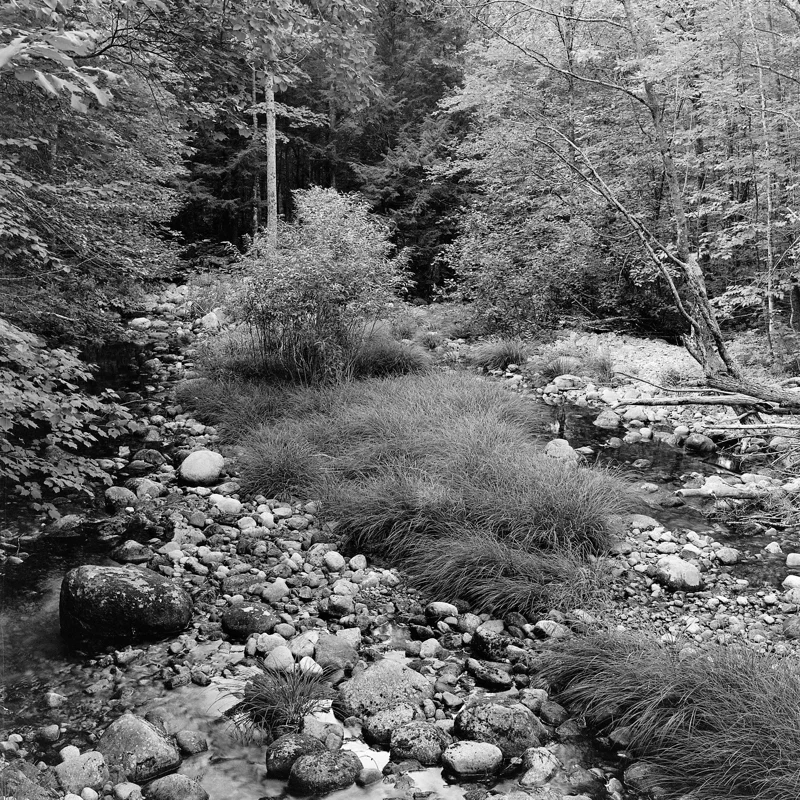 Nature — photograph 2