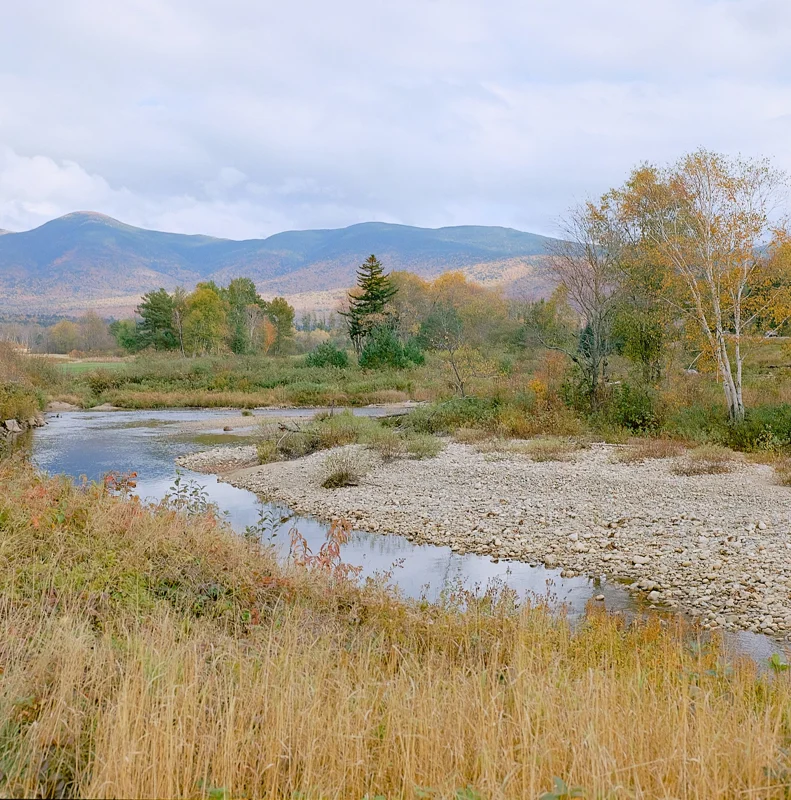 Nature — photograph 3
