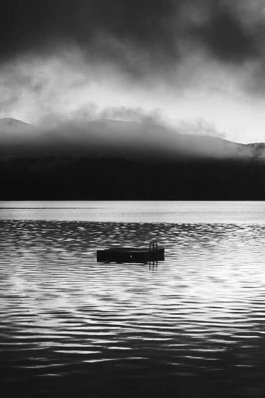 Nature — photograph 5